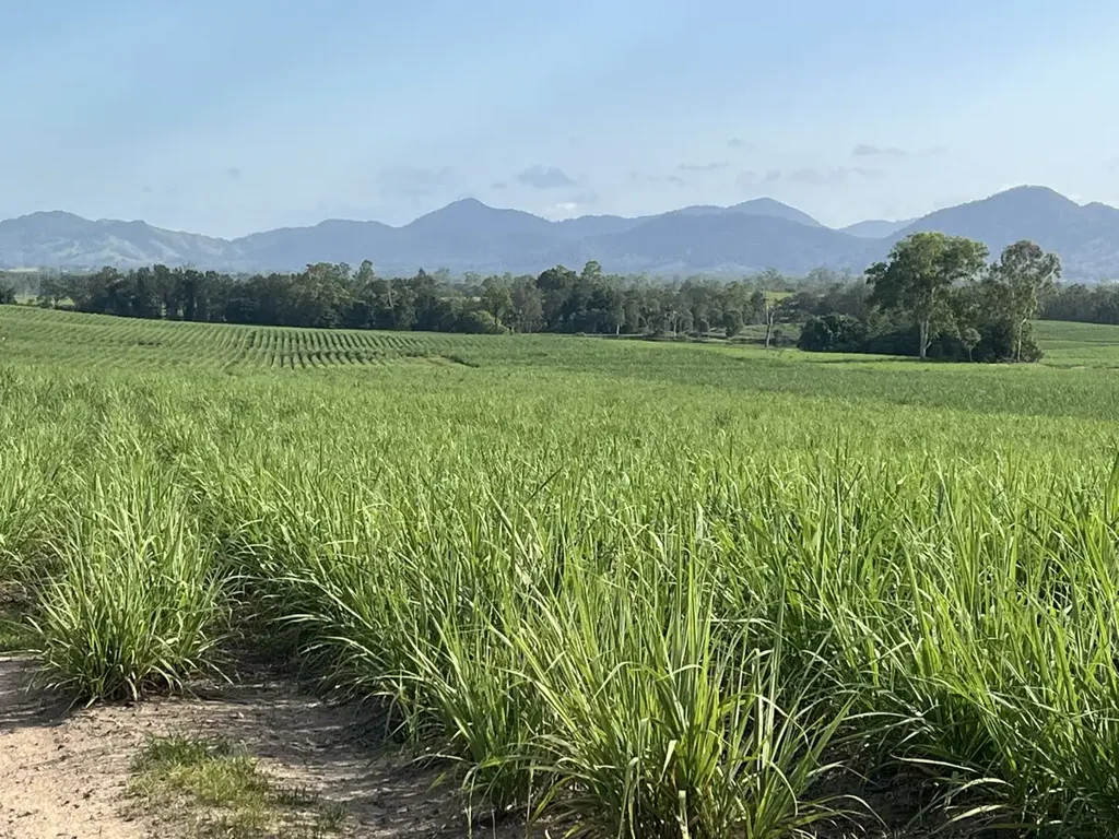 Pinnacle Highly Efficient Cane Farm with Water Security - 188 Acres, Pinnacle QLD