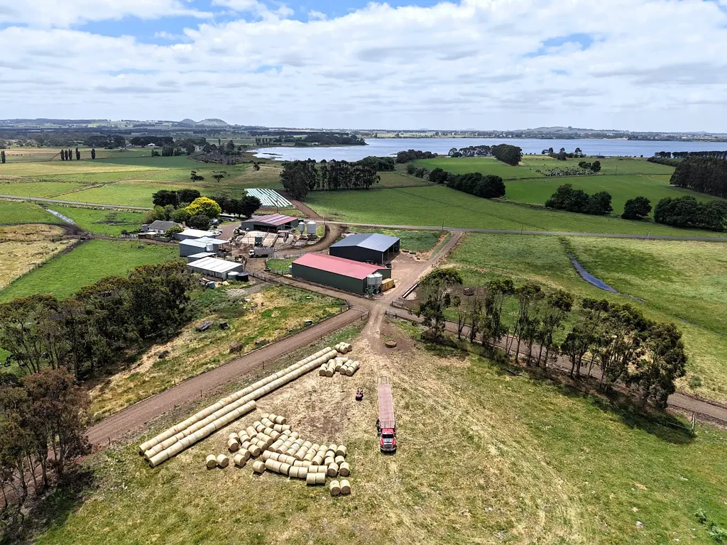 Koallah Blue Chip South West Victoria Grazing / Dairying