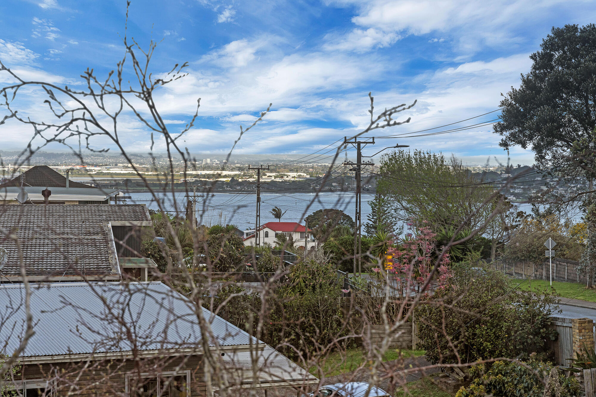 52 Carlton Street, Hillsborough, photo 3