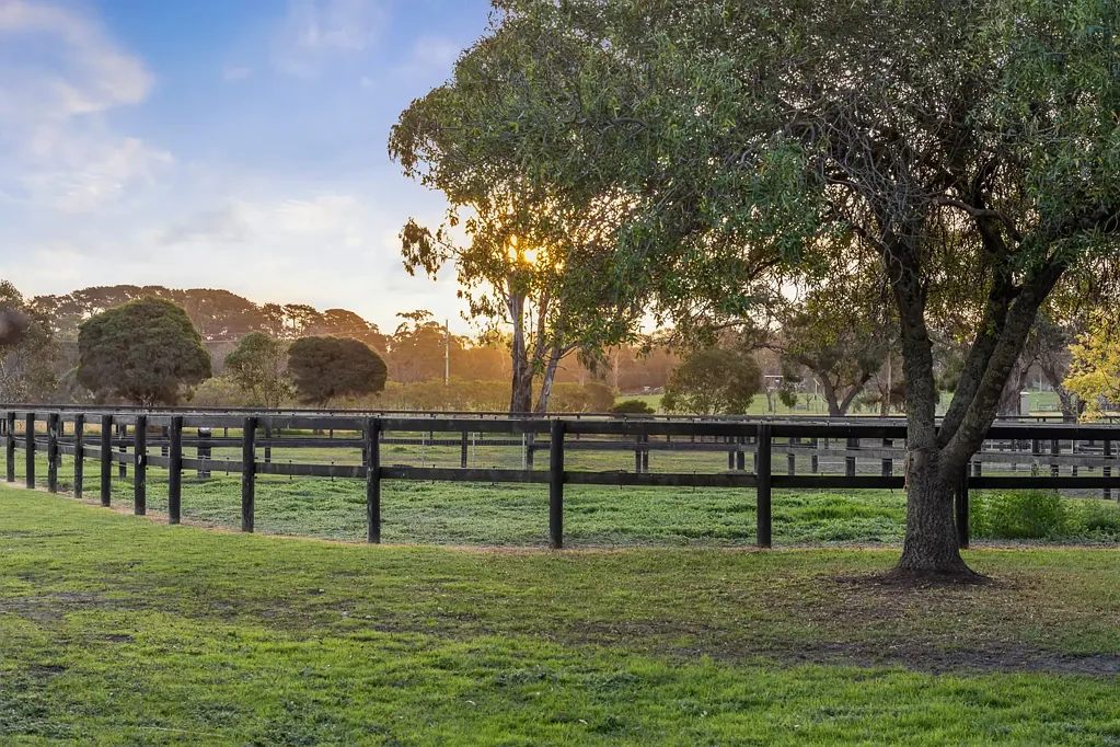 Moorooduc 4房  哈达萨公园 - 一个标志性的20英亩马匹保护区  Hadassah Park - An Iconic 20-Acre Equine Sanctuary