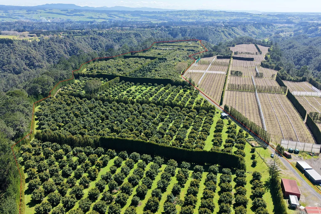 Pyes Pa  23.88 ha Exceptional flat land!