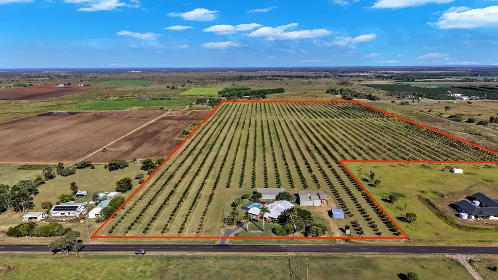Woongarra FUTURE INCOME PRODUCING, CITY FRINGE MACADAMIA FARM WITH COMFORTABLE HOME