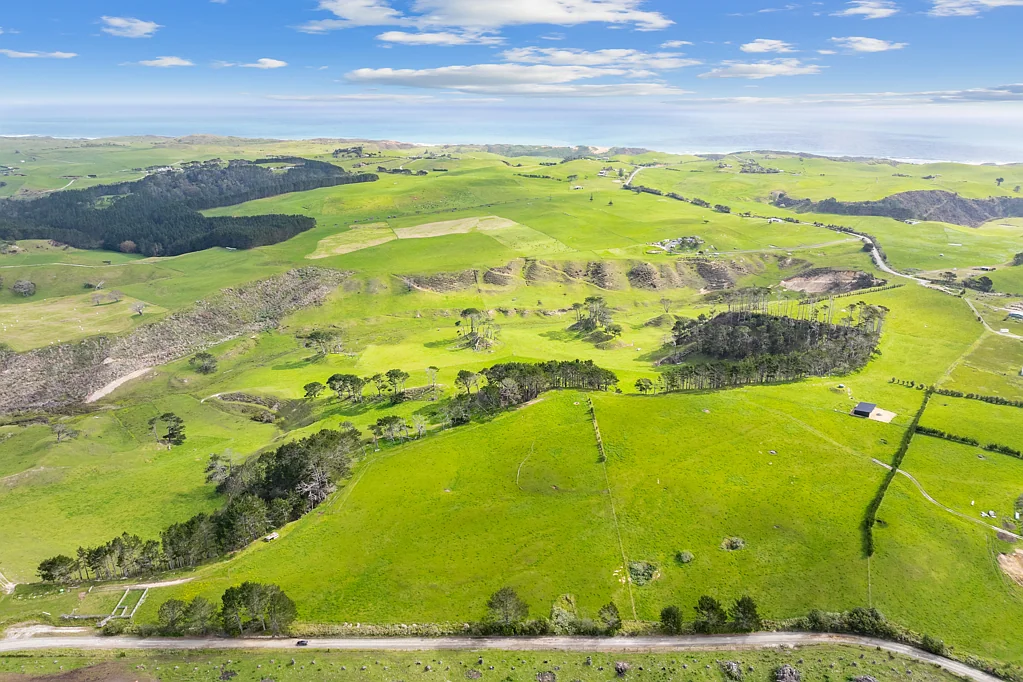 Dargaville  54.83ha grazing block with new implement shed