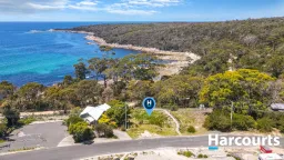 44 Treloggen Drive, Binalong Bay