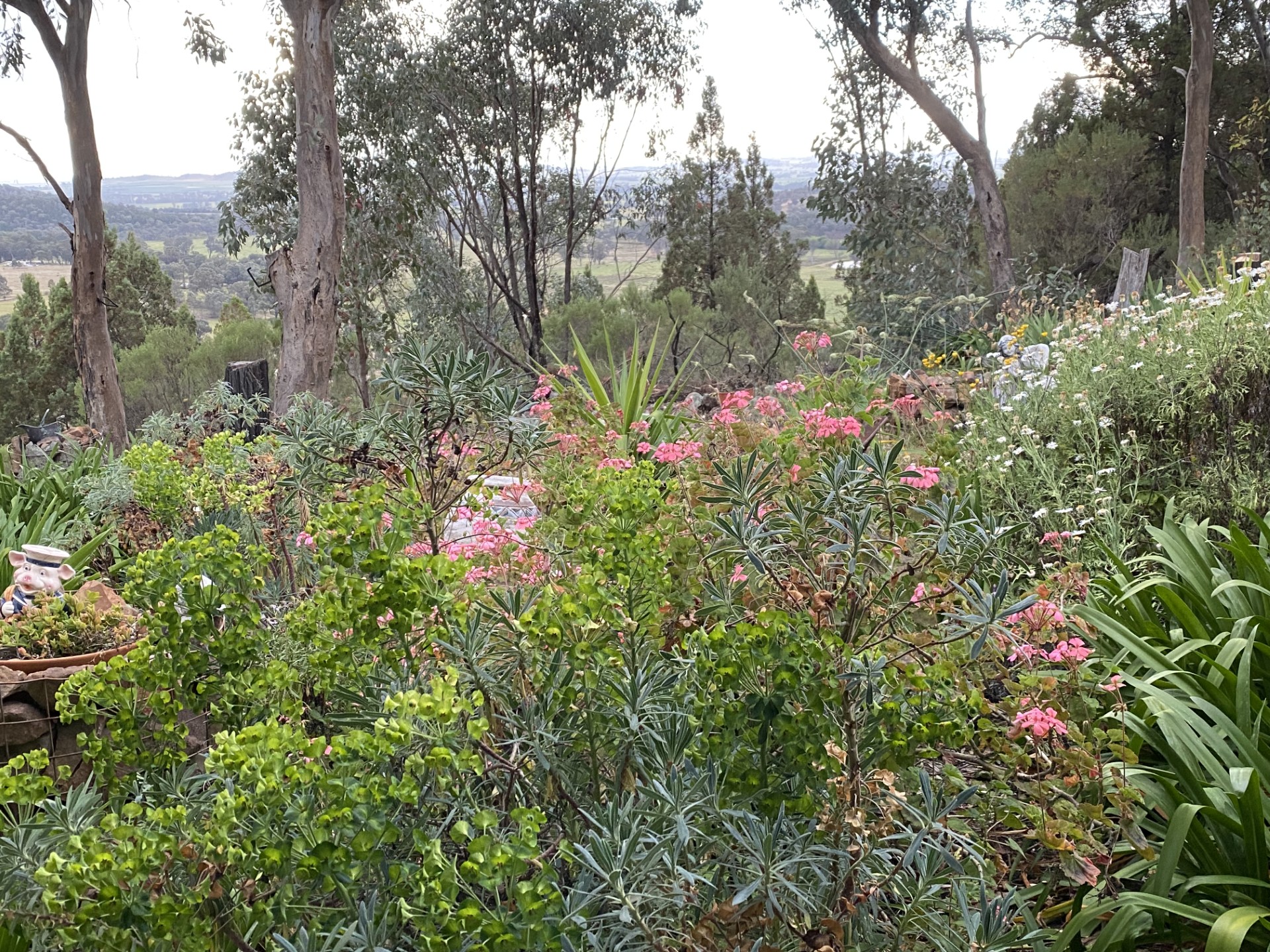 2 GRENFELL RD, COWRA NSW 2794, 0 રૂમ, 0 બાથરૂમ, Lifestyle Property