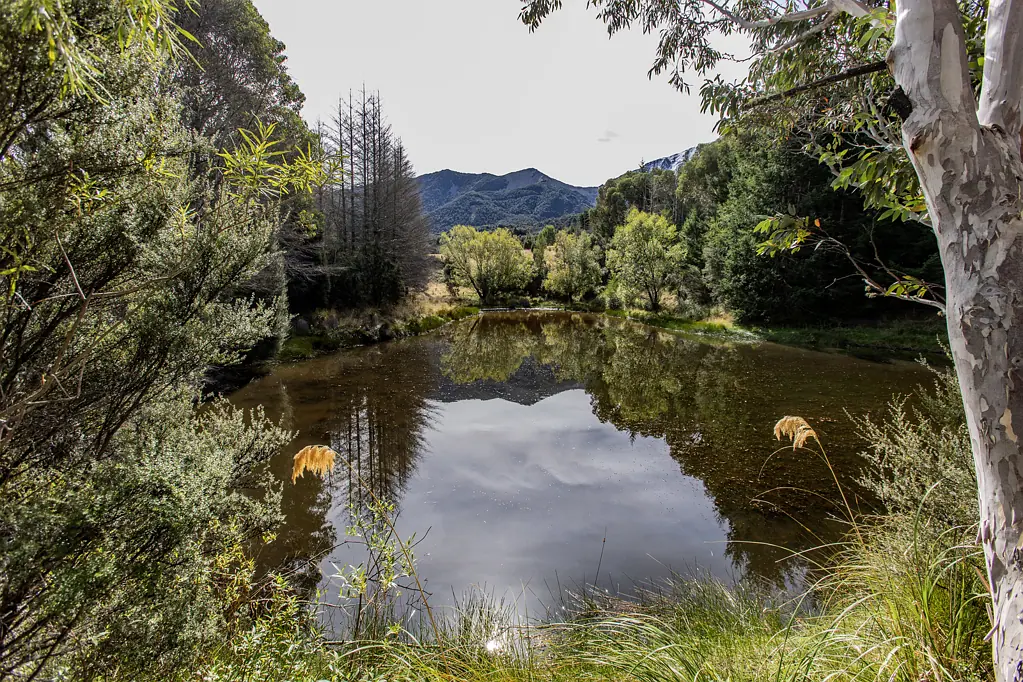 Lyford  Enchanting Slice of New Zealand!
