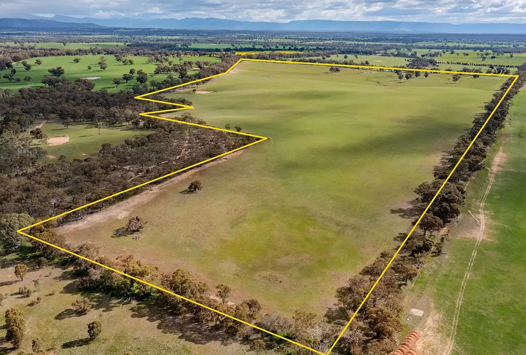 Concongella Grazing Opportunity Cropping Close to Stawell