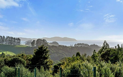 Panoramic Pataua