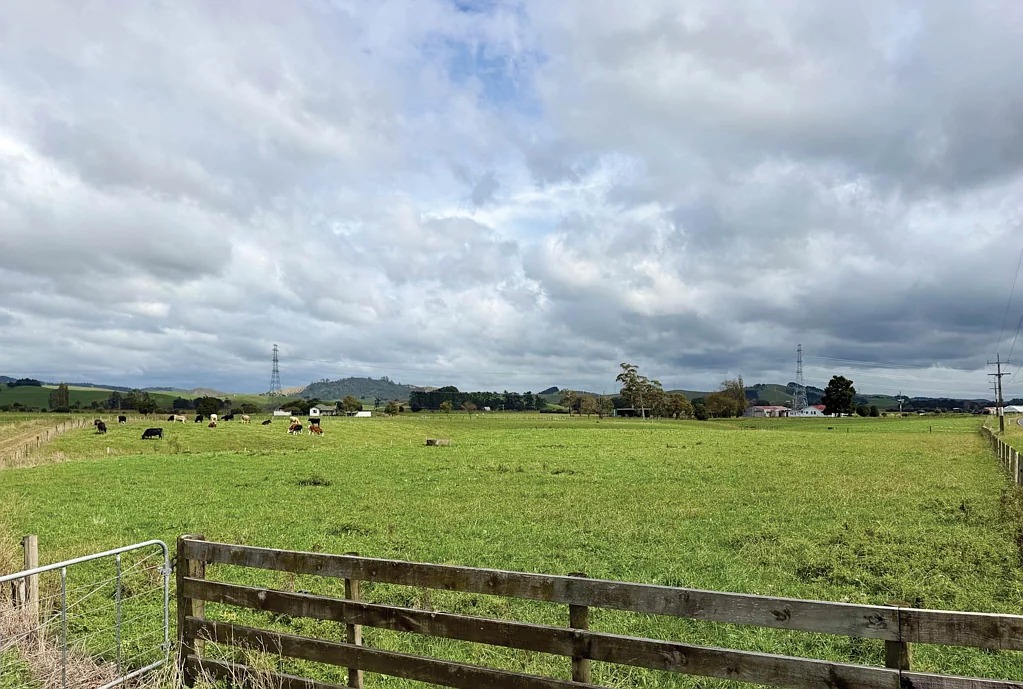 Waerenga EASY & AFFORDABLE BUILDING LAND