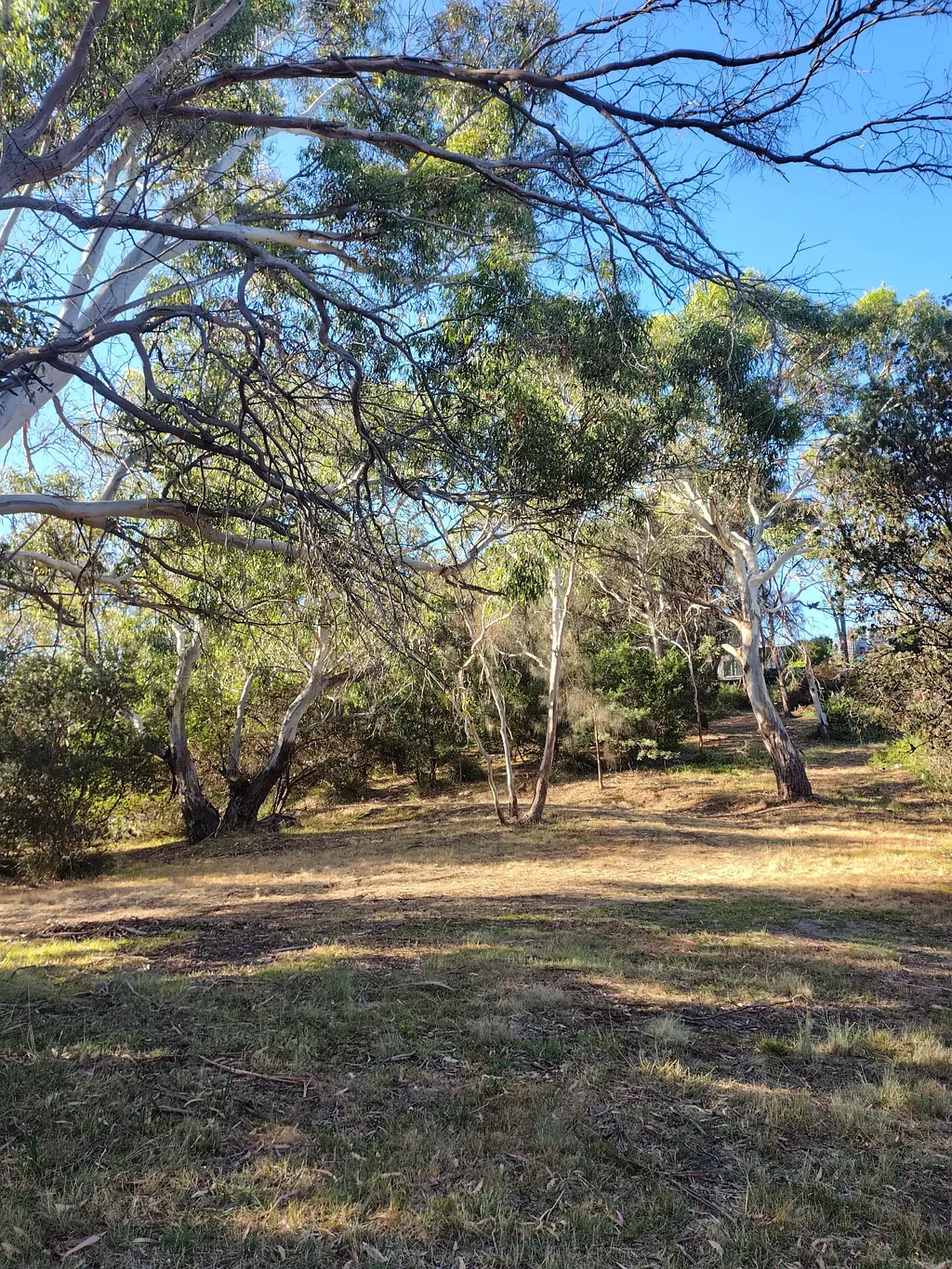 12-14 Church street, Dodges Ferry, TAS 7173