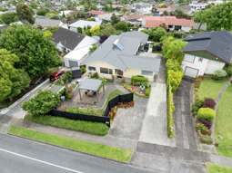 117 Bradbury Road, Botany Downs
