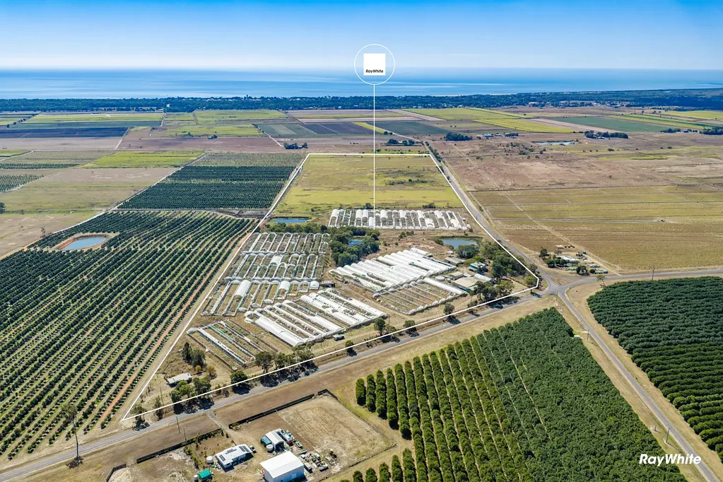 Moore Park Beach 3બેડરૂમ Land, Legacy and Opportunity Awaits You On 87.25 Acres