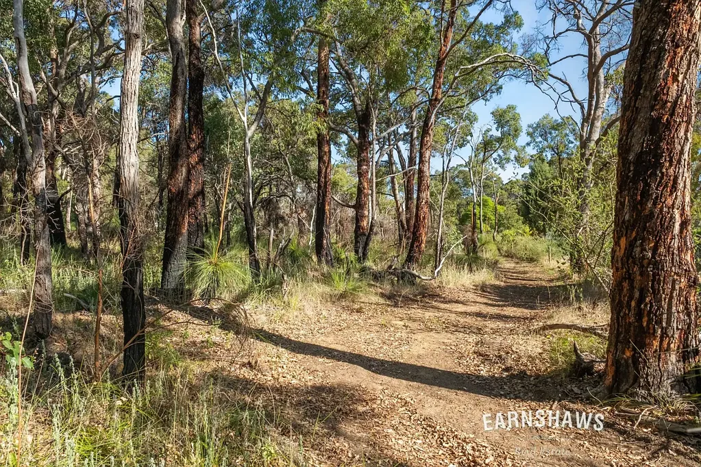 Mahogany Creek  Magic in Magnificent Mahogany Creek