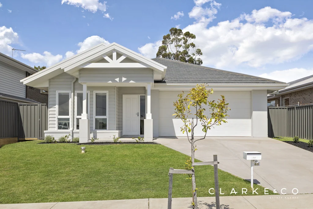 43 Tillage Drive, Lochinvar, NSW 2321