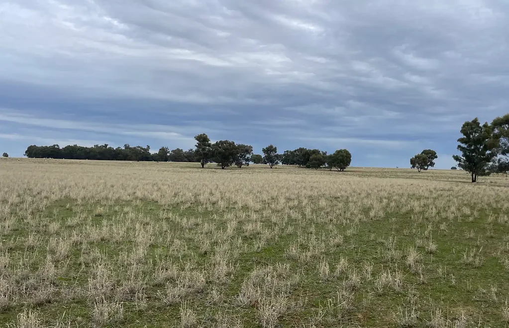 Deniliquin  Cropping or Livestock Expansion Opportunity