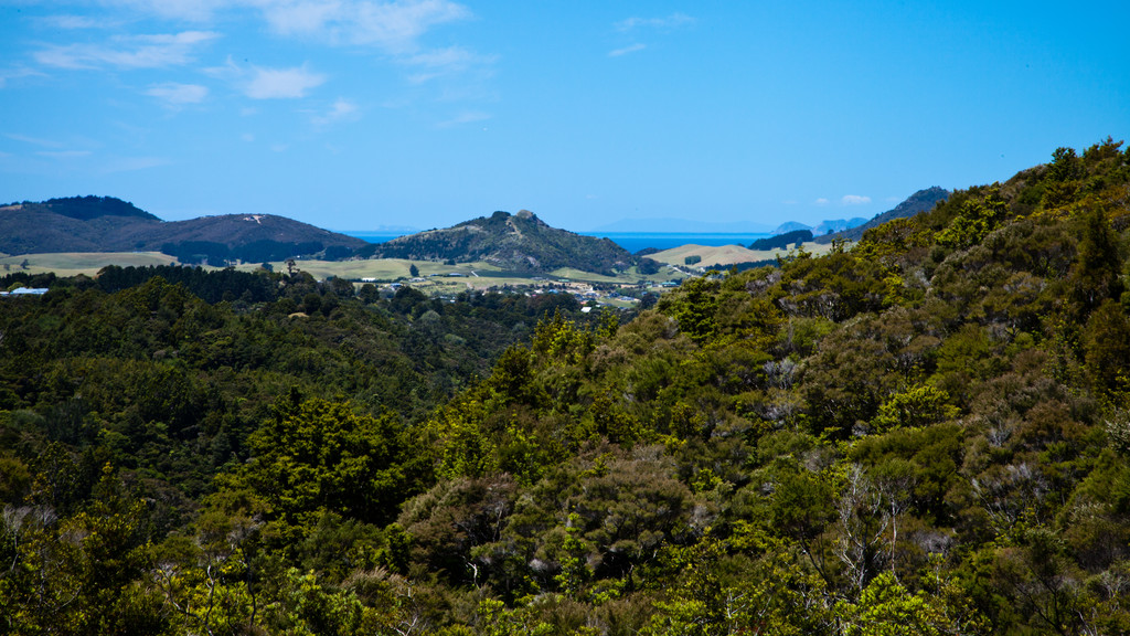 173 Kohinui Road, Parua Bay, Whangarei, 0部屋, 0バスルーム