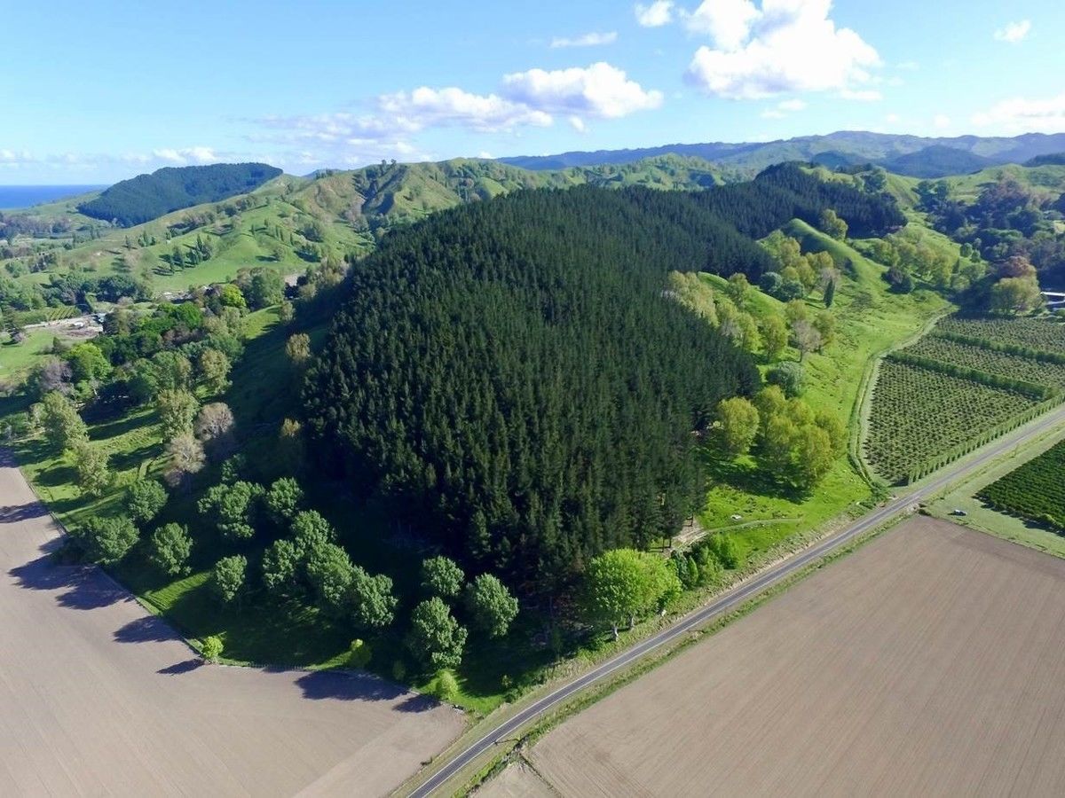 Williams Road, Muriwai, Gisborne, 0 rūma, 1 rūma horoi