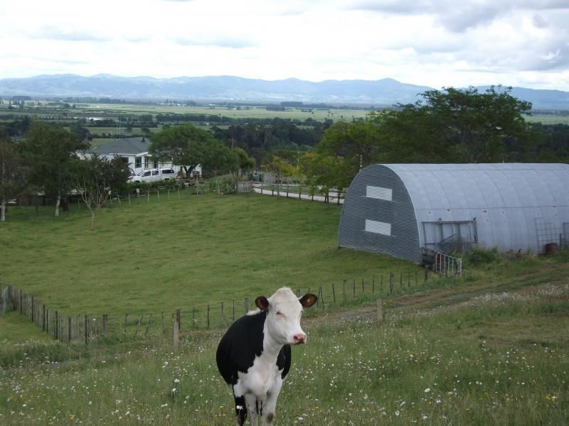 71 Jackson Road, Karangahake, Hauraki, 0房, 0浴