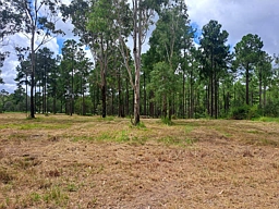 Lot 78/Lot 78 Neerdie Road, Glenwood
