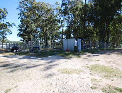 1465 Billirimba Road, Tenterfield, Tamworth, 4 ਕਮਰੇ, 2 ਬਾਥਰੂਮ, Lifestyle Property