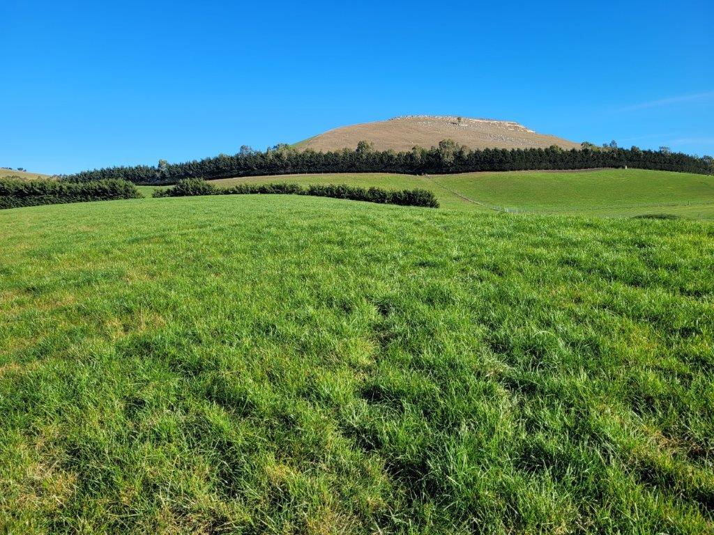 Turfus Camp Road, Rosebery, Waitaki, 0房, 1浴, Finishing