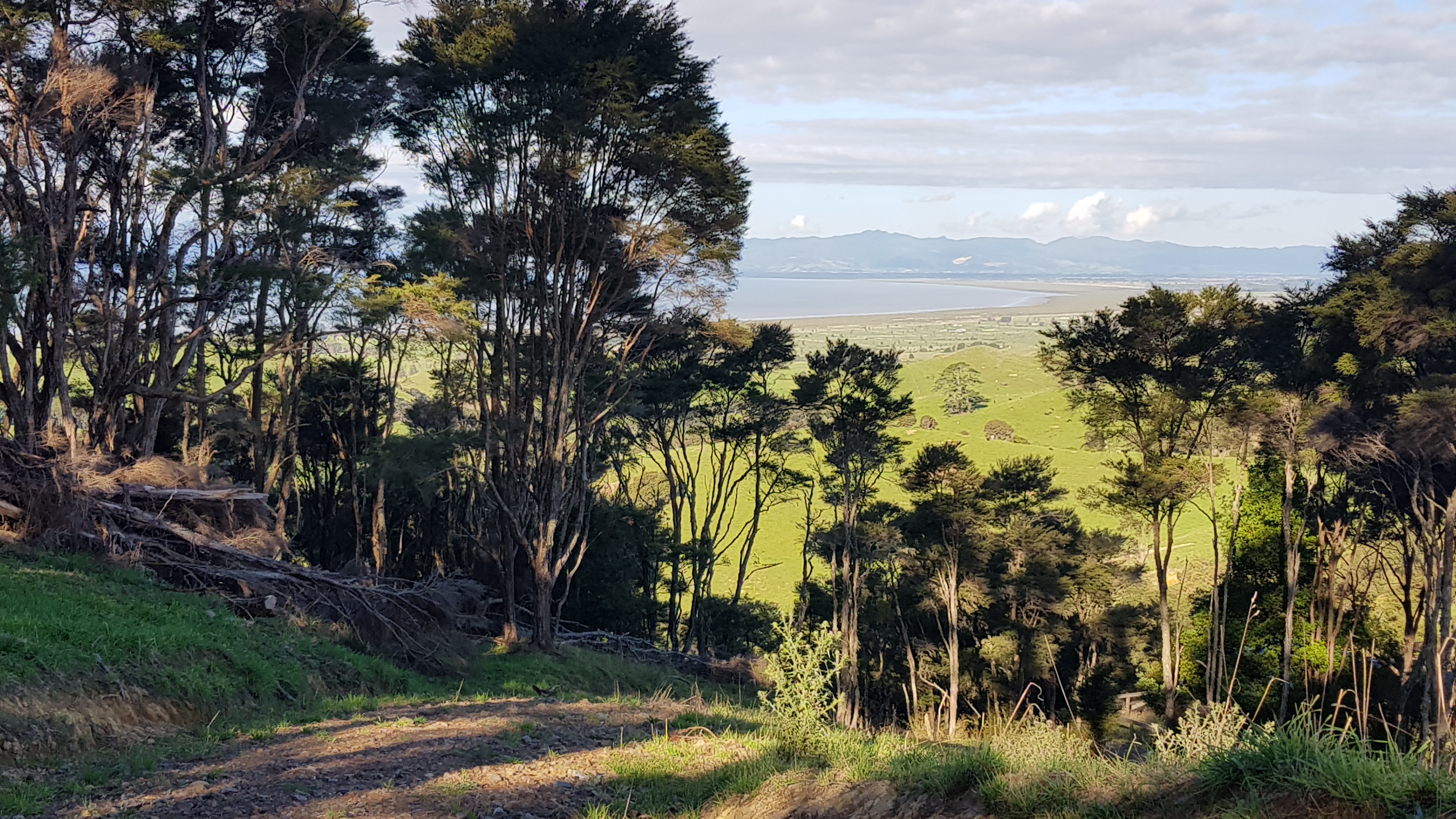 2 Rataroa Road, Miranda, Waikato, 1 कमरे, 1 बाथरूम