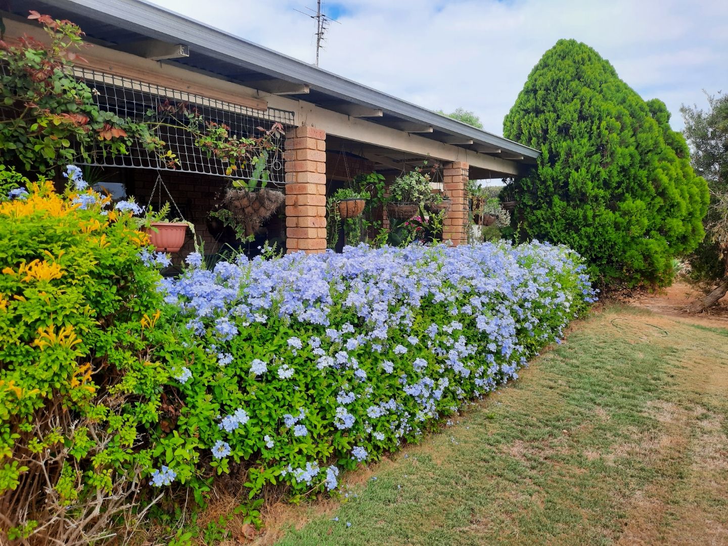 35 PHILBEY RD, DONGARA WA 6525, 0 habitaciones, 0 baños, House