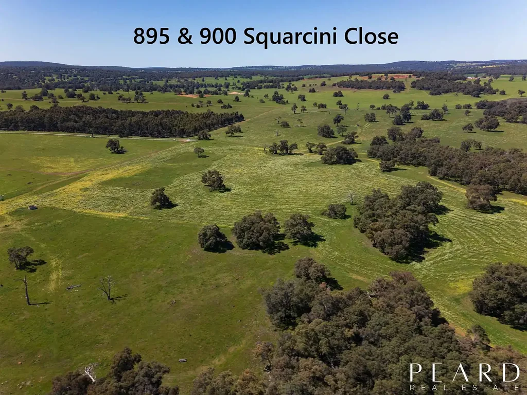 895 Squarcini Close, Bailup, WA 6082