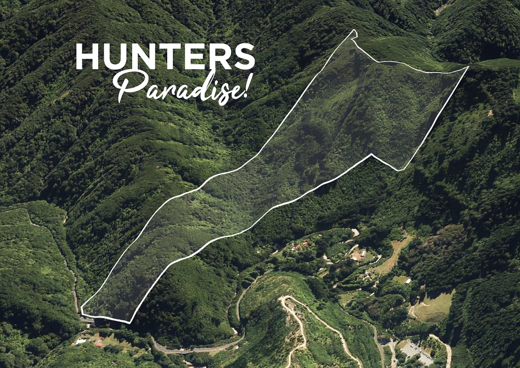 Upper Hutt  A Hunter’s Paradise