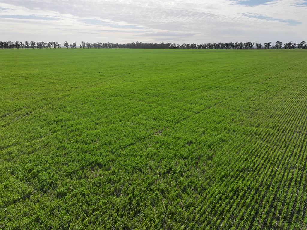 Quandary Very Productive Smaller Farm Suitable For A Younger Farmer