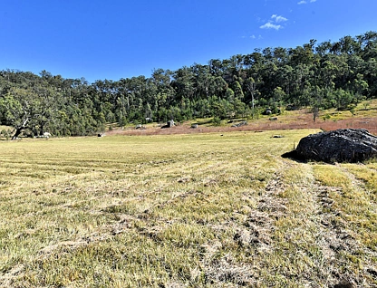 1880 Paynes Crossing Road, Paynes Crossing, Hunter, 0 chambres, 0 salles de bain, Lifestyle Property