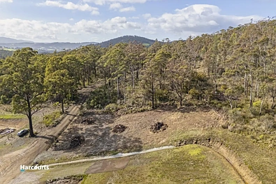 42 Hill Street, Geeveston, TAS 7116, 0房, 0浴, Section