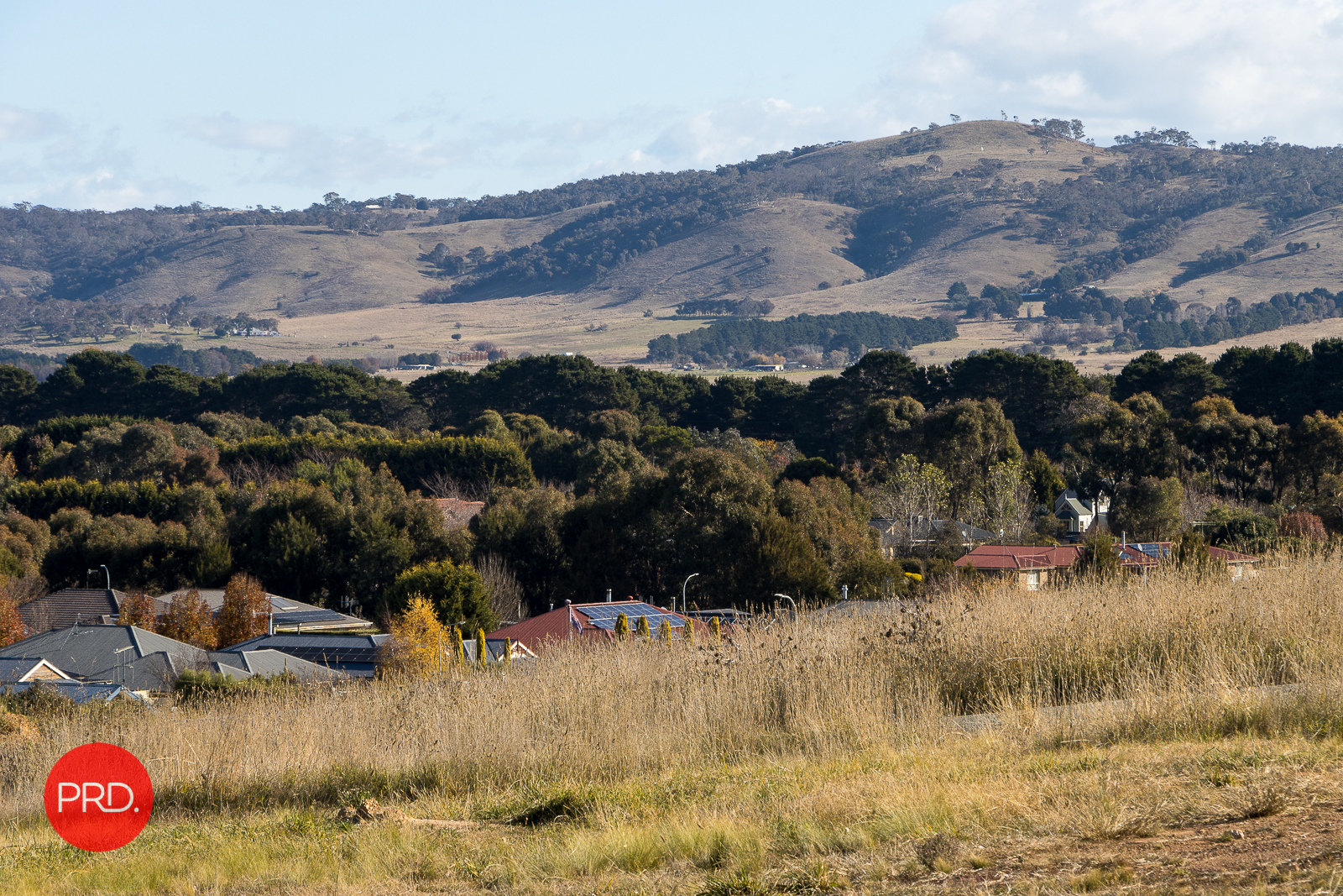 42 BIRCHFIELD DR, BUNGENDORE NSW 2621, 0 Bedrooms, 0 Bathrooms, Section