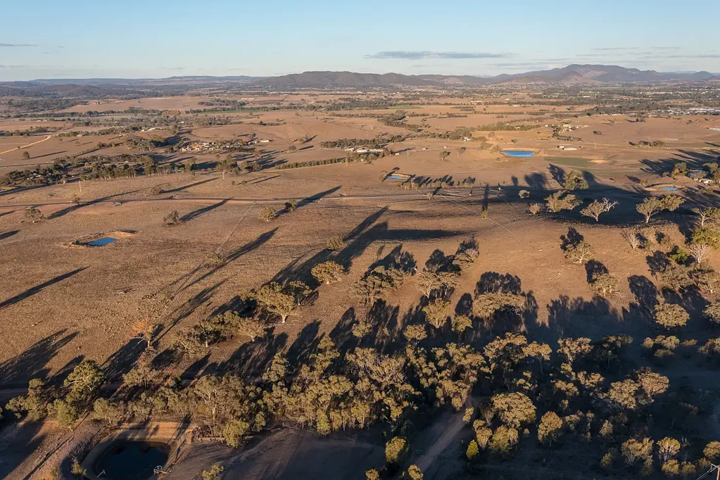Mudgee  'DARTHULA'