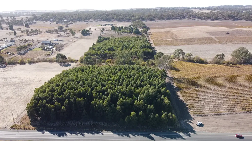 Stanley Flat AFFORESTATION BLOCK