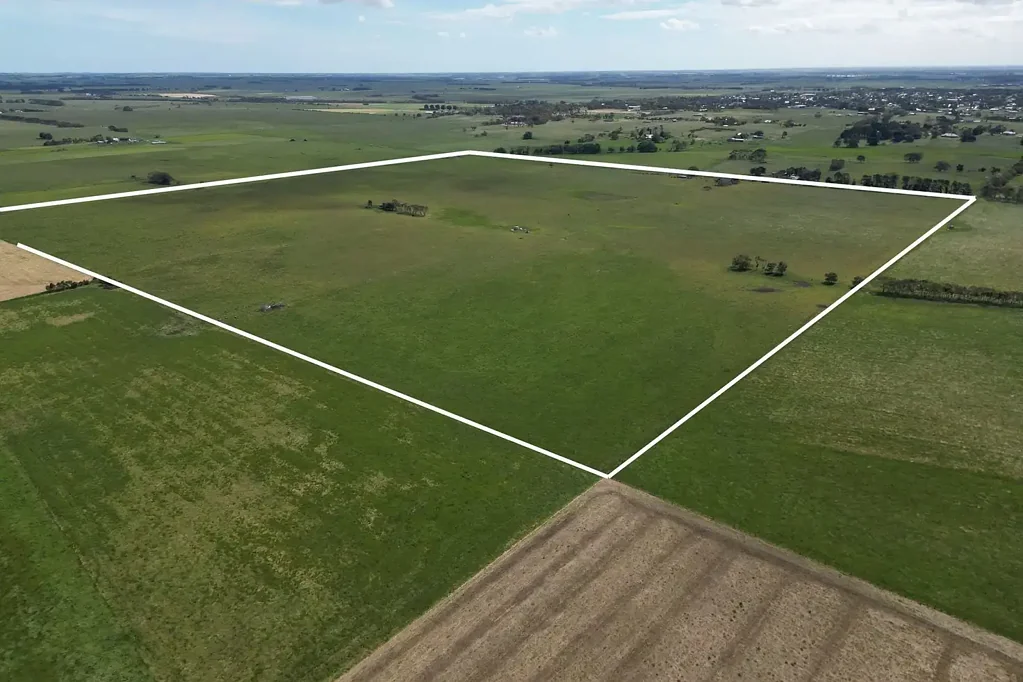 Mortlake Prime Grazing / Outpaddock Opportunity