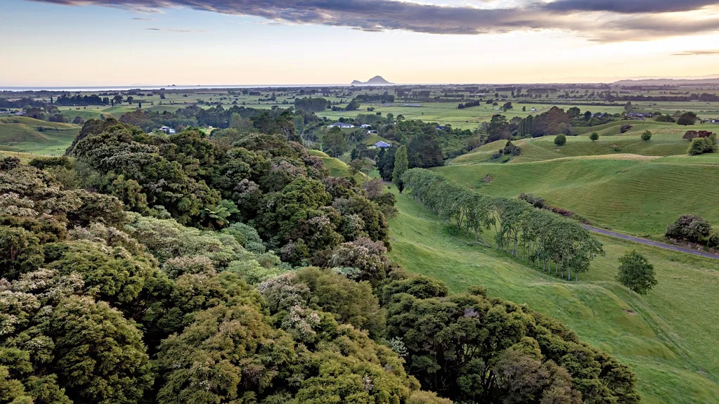 Manawahe  Three hectares of pure potential on withy road