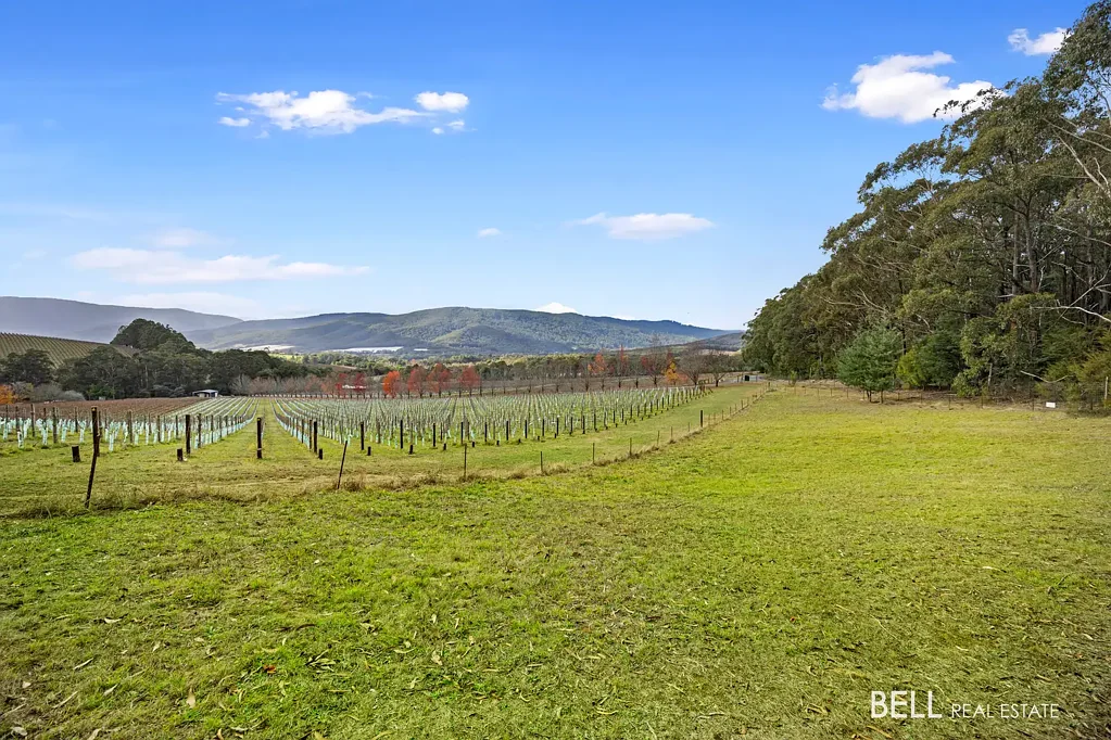 80 Prices Road, Gladysdale, VIC 3797