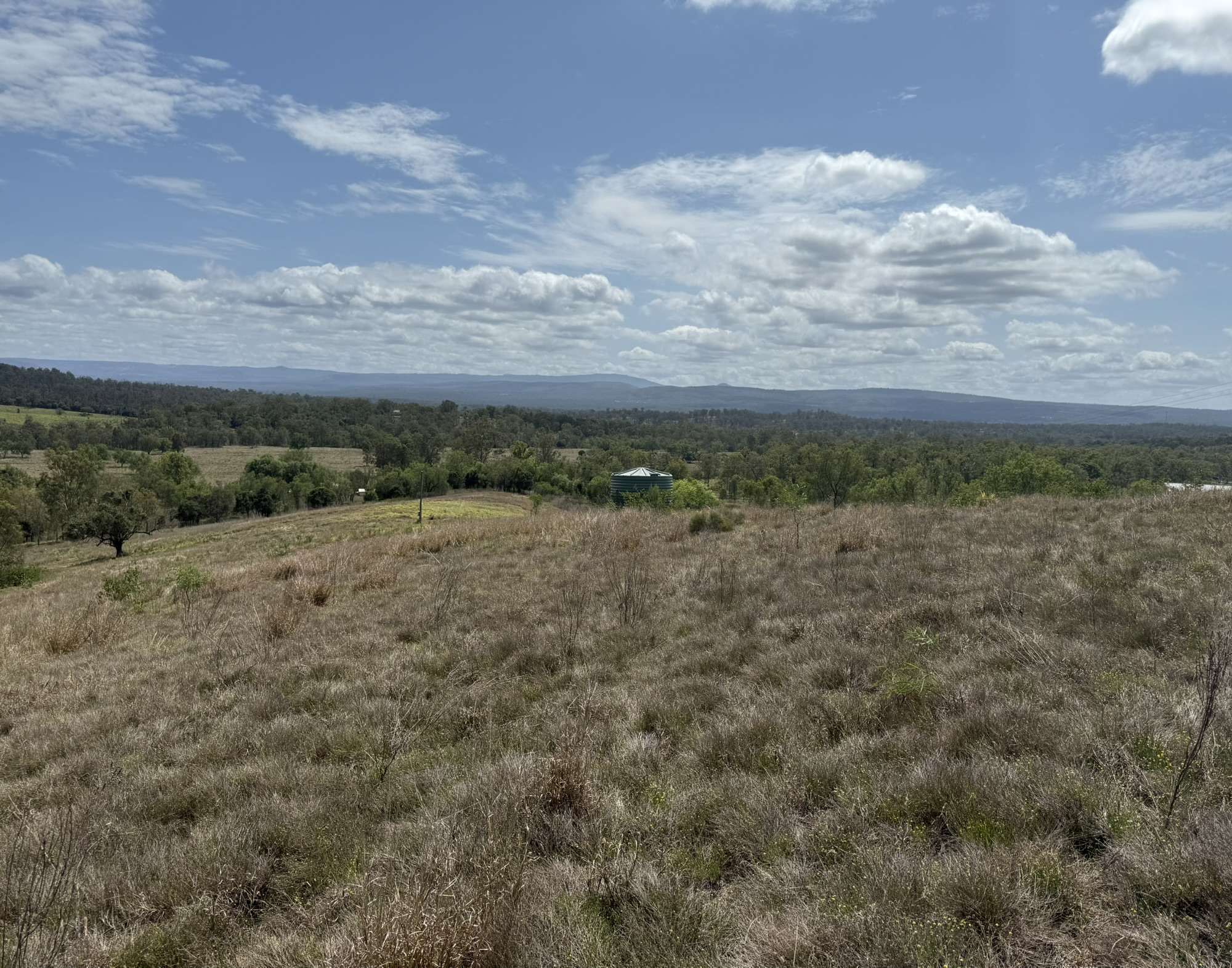 38 DERRYMORE RD, DERRYMORE QLD 4352, 0 Bedrooms, 0 Bathrooms, Section