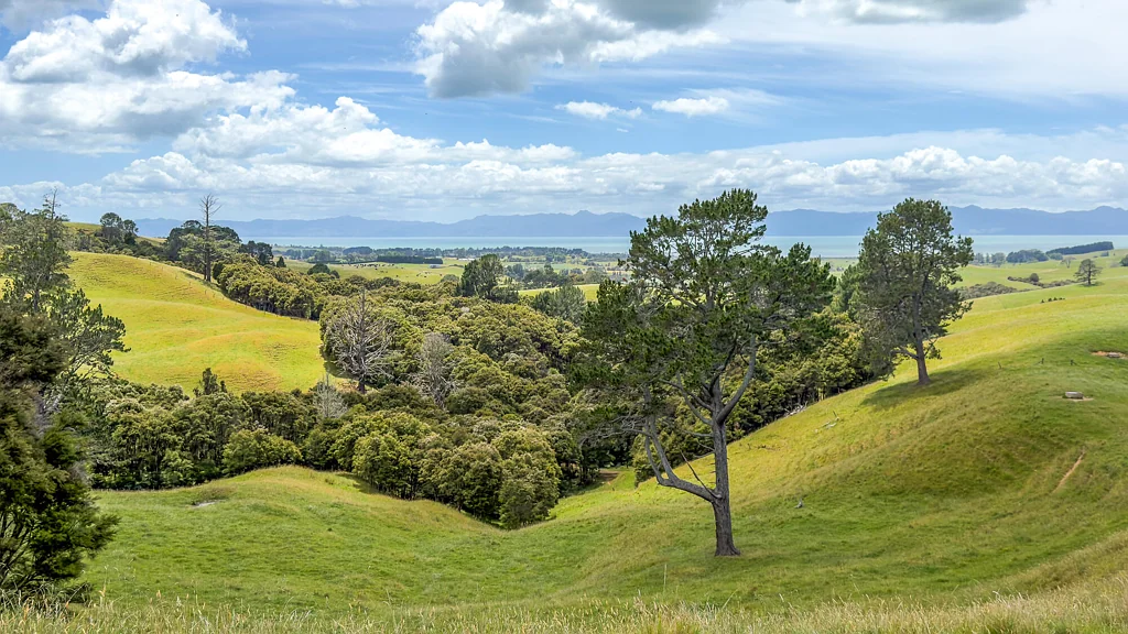 Kaiaua Lifestyle acreage framed by countryside and coast