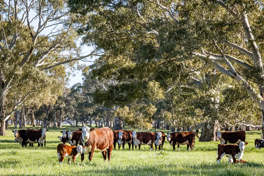 Bool Lagoon Expressions of Interest Close 3rd December 2026