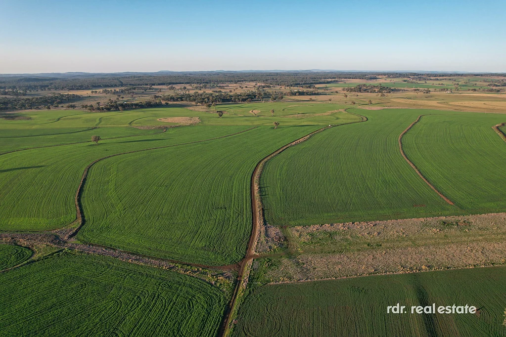 Inverell PINDAROI STATION