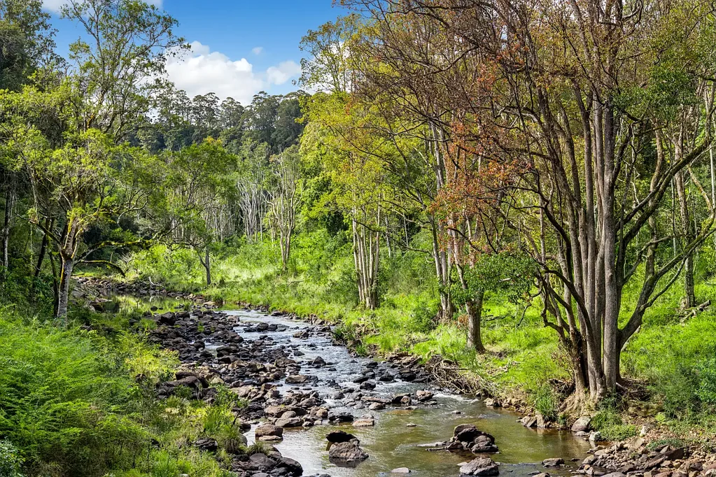 Dunoon 6Moenga Productive Lifestyle Farm