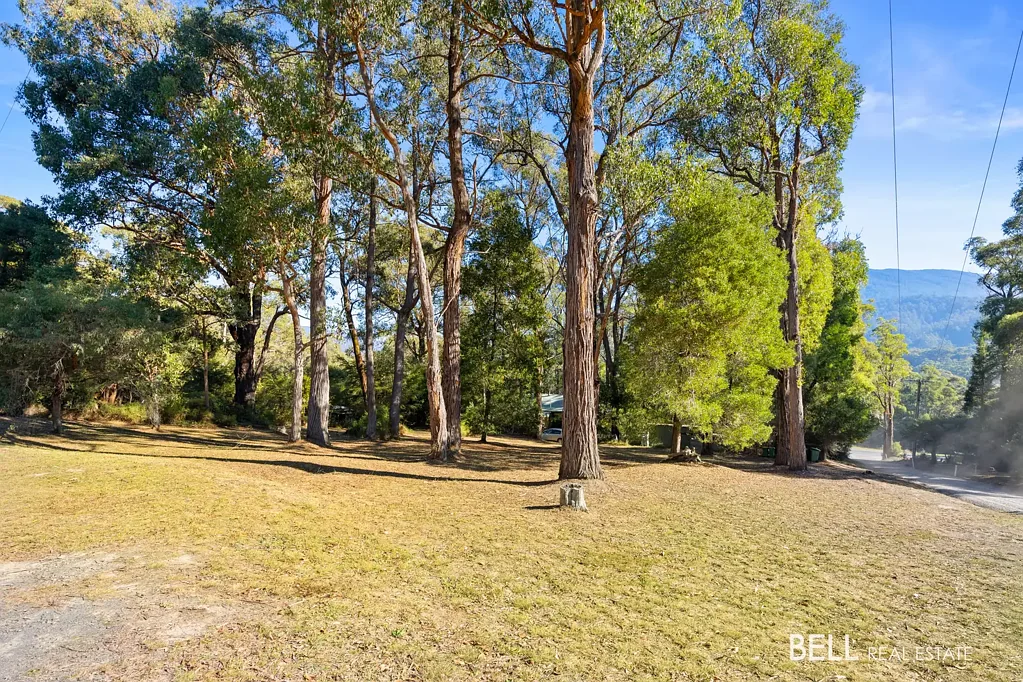 East Warburton Vacant land, Treed Tranquility Awaits