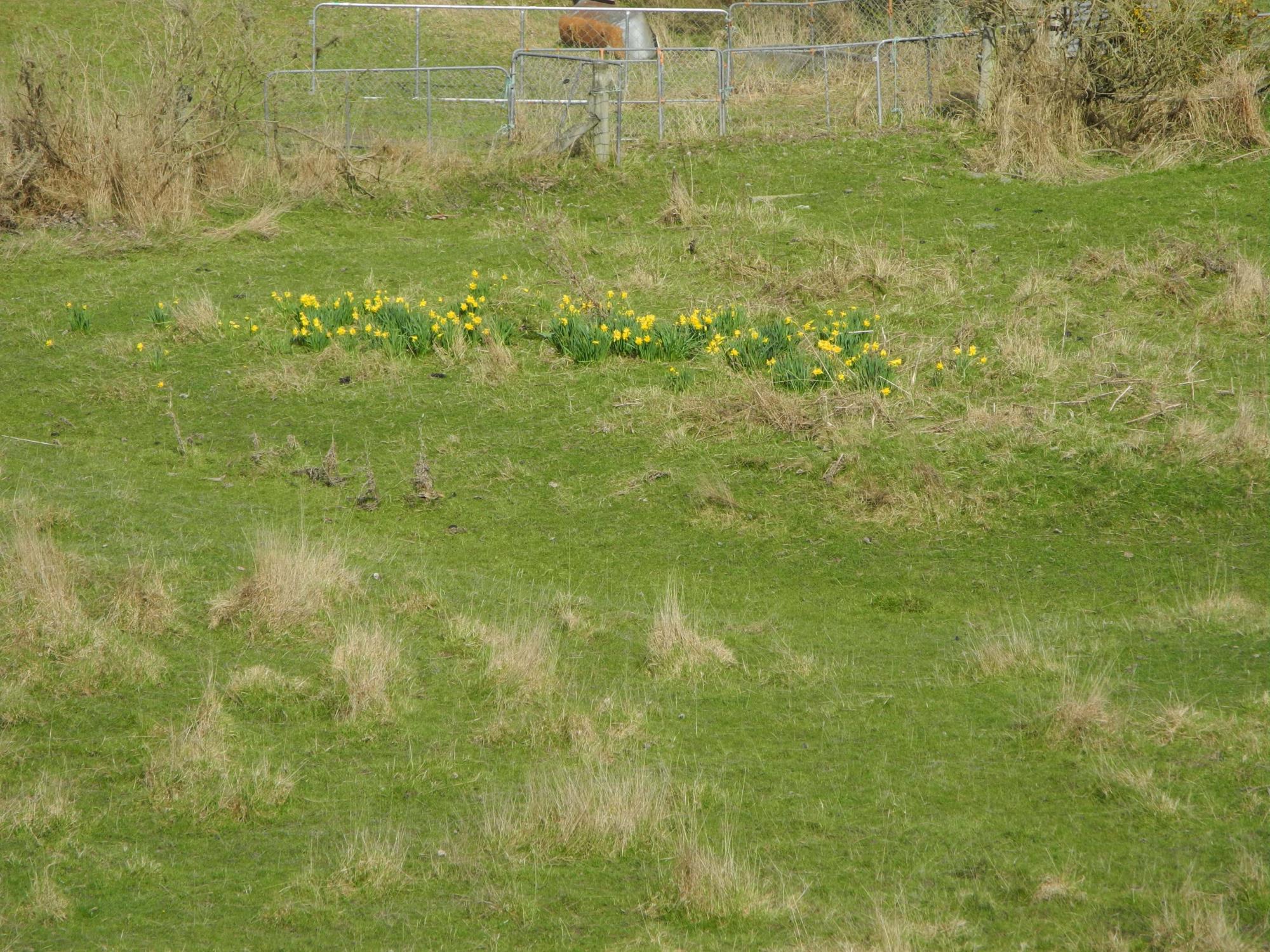 Painstown Road, Waimate, Waimate, 0 ห้องนอน, 0 ห้องน้ำ