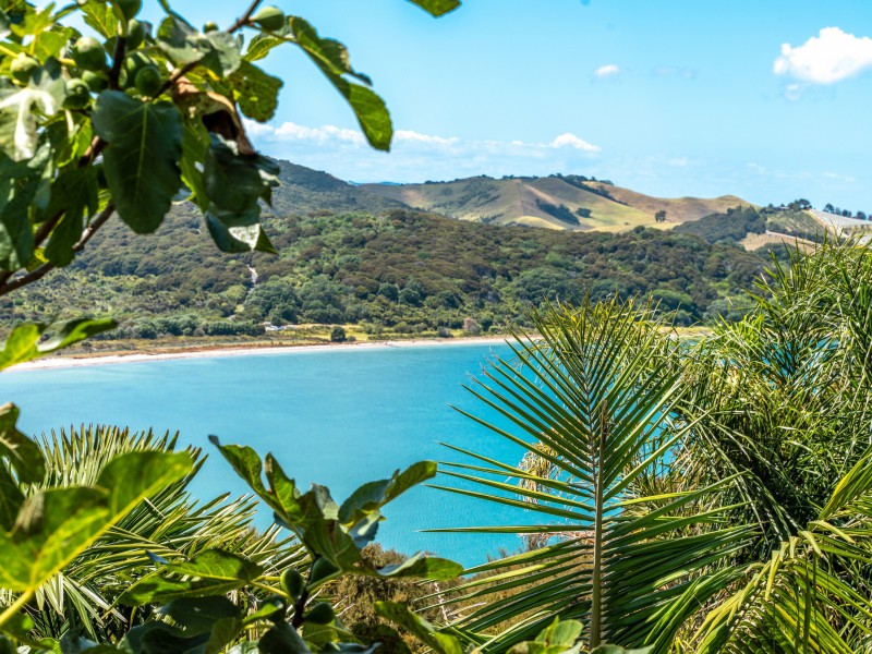 Hauraki Gulf Islands