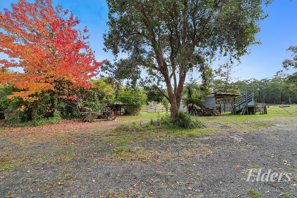 Crossover Lifestyle, Location, and Potential - 41 Acres Across 4 Titles