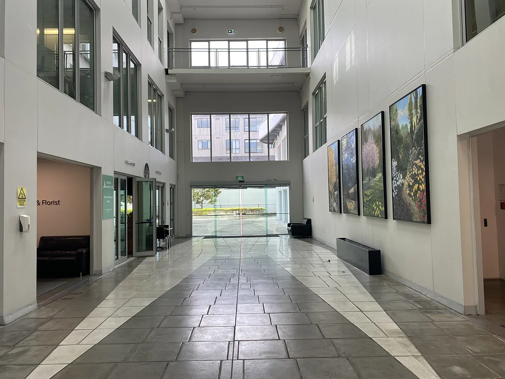 Mount Eden Premium Office Space - Eden Business Park