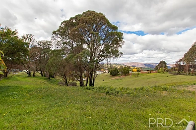 72-76 Mayday Road, Batlow, NSW 2730, 0 chambres, 0 salles de bain, Section