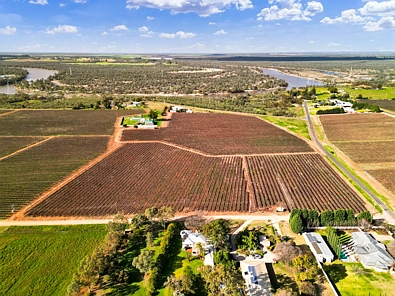 157 Cassia Street, Red Cliffs, VIC 3496, 0房, 0浴, Section